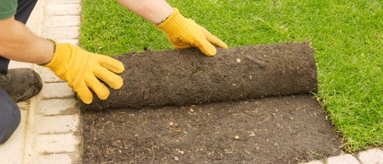 The Best Benefits of Landscape Construction